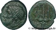 Hellénistique 1 (323 à 188 avant J.C.) Litra SICILE - SYRACUSE Syracuse, Sicile c. 240-215 AC. (23,5mm, 8,99g, 12h) -