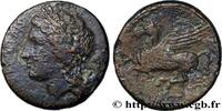 Hellénistique 1 (323 à 188 avant J.C.) Hemilitron SICILE - SYRACUSE Syracuse, Sicile c. 310-305 AC. (17,5mm, 4,68g, 9h) -