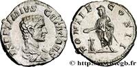 LES SÉVÈRES (193 après J.C. à 235 après J.C.) Denier GÉTA Rome 208 (18,5mm, 3,75g, 6h) -