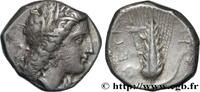 Classique 3 (350 à 323 avant J.C.) Nomos, statère ou didrachme LUCANIE - MÉTAPONTE Métaponte, Lucanie c. 330-290 AC. (18,5mm, 7,82g, 11h) -