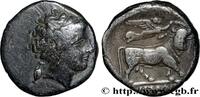 Classique 3 (350 à 323 avant J.C.) Nomos ou didrachme CAMPANIE - NEAPOLIS (NAPLES) Naples, Campanie c. 300-275 AC. (19,5mm, 6,99g, 11h) -