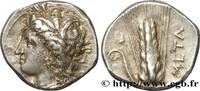 Classique 3 (350 à 323 avant J.C.) Nomos, statère ou didrachme LUCANIE - MÉTAPONTE Métaponte, Lucanie c. 300-280 AC. (20mm, 7,94g, 6h) -