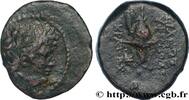 Hellénistique 2 (188 à 30 avant J.C.) Chalque SYRIE - ROYAUME SELEUCIDE - THRYPHON Atelier incertain, imitation d’Antioche c. 140 AC. (19mm, 4,51g, 12h) -