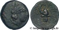 Hellénistique 2 (188 à 30 avant J.C.) Chalque SYRIE - ROYAUME SELEUCIDE - THRYPHON Atelier incertain, imitation d’Antioche c. 140 AC. (19mm, 4,69g, 12h) -