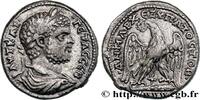LES SÉVÈRES (193 après J.C. à 235 après J.C.) Tétradrachme syro-phénicien GÉTA Tyr, Phénicie 209-212 (26,5mm, 13,24g, 12h) -