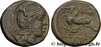 Hellénistique 2 (188 à 30 avant J.C.) Unité MACÉDOINE - PROVINCE DE MACÉDOINE - PELLA Pella, Macédoine c. 168-149 AC. (17mm, 5,45g, 6h) -