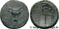 Classique 1 (480 à 400 avant J.C.) Chalque ROI DE PAPHLAGONIE - PYLEMENE III Paphlagonie c. 103 AC (17mm, 4,05g, 12h) -