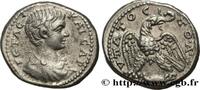 LES SÉVÈRES (193 après J.C. à 235 après J.C.) Tétradrachme syro-phénicien GÉTA Antioche, Syrie, Séleucie et Piérie 205 (25mm, 14,40g, 11h) -