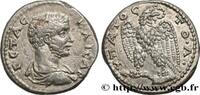 LES SÉVÈRES (193 après J.C. à 235 après J.C.) Tétradrachme syro-phénicien GÉTA Antioche, Syrie, Séleucie et Piérie 205 (24,50mm, 14,31g, 12h) -