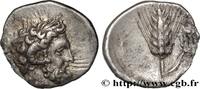 Classique 3 (350 à 323 avant J.C.) Diobole LUCANIE - MÉTAPONTE Métaponte, Lucanie c. 325-275 AC. (11,5mm, 1,01g, 1h) -