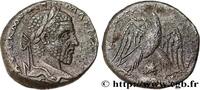 LES SÉVÈRES (193 après J.C. à 235 après J.C.) Tétradrachme syro-phénicien MACRIN Émèse, Syrie, Séleucie et Pierie 217-218 (23,5mm, 12,30g, 6h) -