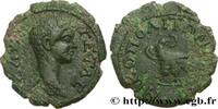LES SÉVÈRES (193 après J.C. à 235 après J.C.) Assarion GÉTA Nicopolis ad Istrum, Mésie Inférieure 199 (18,5mm, 3,42g, 1h) -