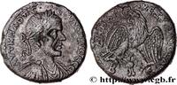 LES SÉVÈRES (193 après J.C. à 235 après J.C.) Tétradrachme syro-phénicien MACRIN Beroea, Syrie, Cyrrhestica 217-218 (24,5mm, 11,79g, 7h) -