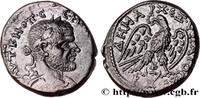 LES SÉVÈRES (193 après J.C. à 235 après J.C.) Tétradrachme syro-phénicien MACRIN Beroea, Syrie, Cyrrhestica 217-218 (25mm, 14,83g, 12h) -