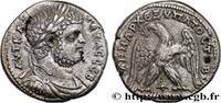 LES SÉVÈRES (193 après J.C. à 235 après J.C.) Tétradrachme syro-phénicien GÉTA Tyr, Phénicie 209-212 (25mm, 8,97g, 12h) -