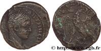 LES SÉVÈRES (193 après J.C. à 235 après J.C.) Tétradrachme syro-phénicien ÉLAGABAL Antioche, Syrie, Séleucie et Piérie 218-220 (22,5mm, 10,35g, 12h) -