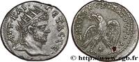 LES SÉVÈRES (193 après J.C. à 235 après J.C.) Tétradrachme syro-phénicien GÉTA Laodicée, Syrie, Séleucie et Piérie 209-211 (25mm, 7,12g, 12h) -