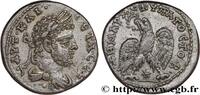 LES SÉVÈRES (193 après J.C. à 235 après J.C.) Tétradrachme syro-phénicien GÉTA Laodicée, Syrie, Séleucie et Piérie 209-211 (26mm, 13,04g, 11h) -