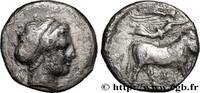 Classique 3 (350 à 323 avant J.C.) Nomos, statère ou didrachme CAMPANIE - NEAPOLIS (NAPLES) Naples, Campanie c. 300-275 AC. (18,5mm, 6,54g, 12h) -