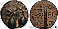 Hellénistique 2 (188 à 30 avant J.C.) Unité COLCHIDE - DIOSCURIAS Dioscuras, Colchide c. 105-90 AC. (16mm, 4,01g, 12h) -