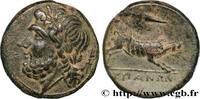 Hellénistique 1 (323 à 188 avant J.C.) Unité APULIE - ARPI Arpi, Apulie c. 325-275 AC. (21mm, 8,16g, 1h) -