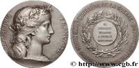 FRANCE Médaille, Soins gratuits aux chevaux de la gendarm POLICE ET GENDARMERIE n.d. (35,5mm, 21,84g, 12h) -