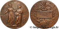 FRANCE Médaille de récompense, Associations agricoles MINISTÈRES 1904 (49,5mm, 60,53g, 12h) -