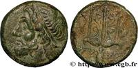 Hellénistique 1 (323 à 188 avant J.C.) Litra SICILE - SYRACUSE Syracuse, Sicile c. 240-216 AC. (20mm, 7,89g, 9h) -