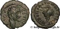 LES SÉVÈRES (193 après J.C. à 235 après J.C.) Assarion SEPTIME SÉVÈRE Nicopolis ad Istrum, Mésie Inférieure c. 193-211 (18mm, 3,36g, 7h) -