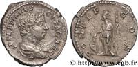 LES SÉVÈRES (193 après J.C. à 235 après J.C.) Denier GÉTA Rome 207 (19mm, 3,26g, 12h) -