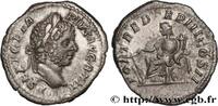 LES SÉVÈRES (193 après J.C. à 235 après J.C.) Denier GÉTA Rome 211 (18,5mm, 3,30g, 12h) -