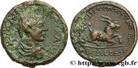 LES SÉVÈRES (193 après J.C. à 235 après J.C.) Pentassaria DIADUMÉNIEN Aegeai, Cilicie 217-218 (28,5mm, 19,34g, 12h) -
