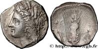 Classique 3 (350 à 323 avant J.C.) Nomos, statère ou didrachme LUCANIE - MÉTAPONTE Métaponte, Lucanie c. 300-280 AC. (20,5mm, 7,64g, 1h) -
