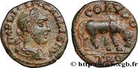 L'ANARCHIE MILITAIRE(235 après J.C. à 284 après J. Diassaria GALLIEN Alexandrie,Troade c. 260-268 (19,5mm, 4,32g, 12h) -