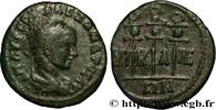 LES SÉVÈRES (193 après J.C. à 235 après J.C.) Diassaria ALEXANDRE SÉVÈRE Nicée, Bithynie 223-226 (20,5mm, 4,13g, 1h) -
