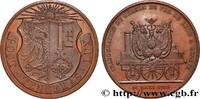 FRANCE Médaille, Inauguration du chemin de fer de Lyon à TRANSPORTS Suisse, Genève 1858 (48mm, 56,09g, 12h) -