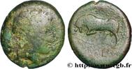 Hellénistique 1 (323 à 188 avant J.C.) Hemilitron SICILE - MESSINE Messine, Sicile c. 264-241 AC. (28mm, 17,26g, 6h) -