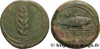FRANCE Unité de bronze ou as HISPANIA - ILIPENSE (Alcala del Rio, Province de Séville) Ilipense IIe siècle avant J.-C. (32mm, 18,75g, 9h) -