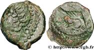 FRANCE Bronze aux oiseaux et à la branche CARNUTES (Région de la Beauce) Chartres (28) Ier siècle av. J.-C (16mm, 2,18g, 1h) -