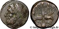 Hellénistique 1 (323 à 188 avant J.C.) Litra SICILE - SYRACUSE Syracuse, Sicile c. 240-216 AC. (18,5mm, 6,49g, 12h) -