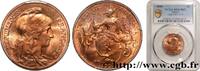 FRANCE 5 centimes Daniel-Dupuis TROISIÈME RÉPUBLIQUE 1899 (25mm, 5g, 6h) -