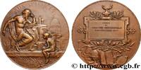 FRANCE Médaille, Aux sciences, École de législation profe ENSEIGNEMENT 1914 (49,5mm, 67,99g, 12h) -