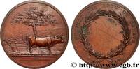 FRANCE Médaille, Classe d’agriculture, Société des Arts d ARTS ET MÉTIERS - ÉCOLES Suisse, Genève n.d. (44,5mm, 41,74g, 12h) -