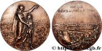 FRANCE Médaille, Anciens élèves du Lycée de Saint Omer ENSEIGNEMENT (1906) (68,5mm, 120,31g, 12h) -