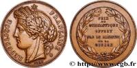 FRANCE Médaille de gymnastique, offert par le ministre de MINISTÈRES n.d. (50,5mm, 58,12g, 12h) -