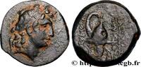Hellénistique 2 (188 à 30 avant J.C.) Chalque SYRIE - ROYAUME SELEUCIDE - THRYPHON Atelier incertain, imitation d’Antioche c. 140 AC. (17,5mm, 5,05g, 1h) -