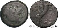 Hellénistique 1 (323 à 188 avant J.C.) Hemichalque PHÉNICIE - AKE-PTOLEMAÏS Aké-Ptolémaïs, Phénicie 164-133 AC. (15,5mm, 3,20g, 12h) -