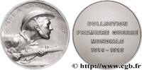 FRANCE Médaille, Offensive britannique, Collection premiè PREMIÈRE GUERRE - WWI n.d. (68mm, 168,94g, 12h) -
