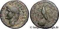 LES FLAVIENS (69 après J.C. à 96 après J.C.) As TITUS Rome 80-81 (26mm, 10,51g, 6h) -