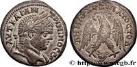 LES SÉVÈRES (193 après J.C. à 235 après J.C.) Tétradrachme syro-phénicien CARACALLA Berytus, Phénicie 215-217 (24,5mm, 9,10g, 6h) -